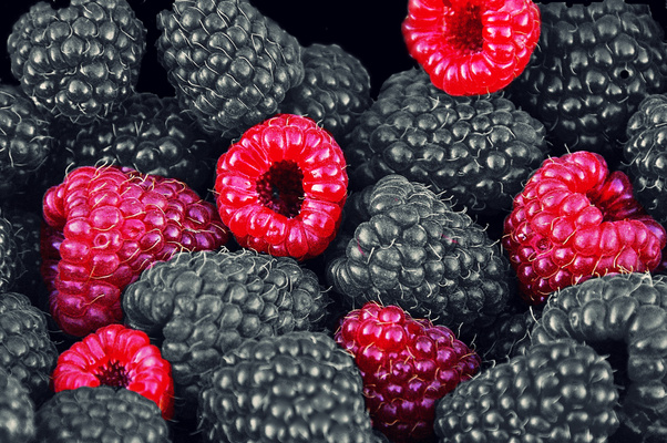 Fresh Berry Fruits