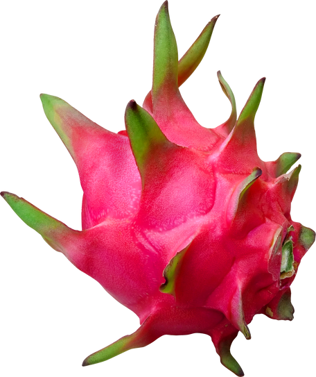 Dragon Fruit