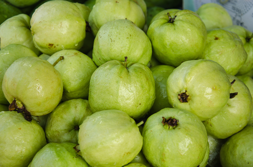 Fresh guava fruit
