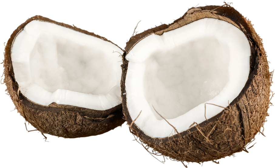Individual Coconut Fruit