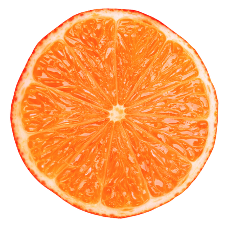  Orange Fruit 