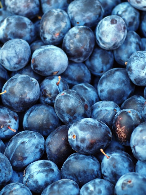 Fresh Plum Fruits